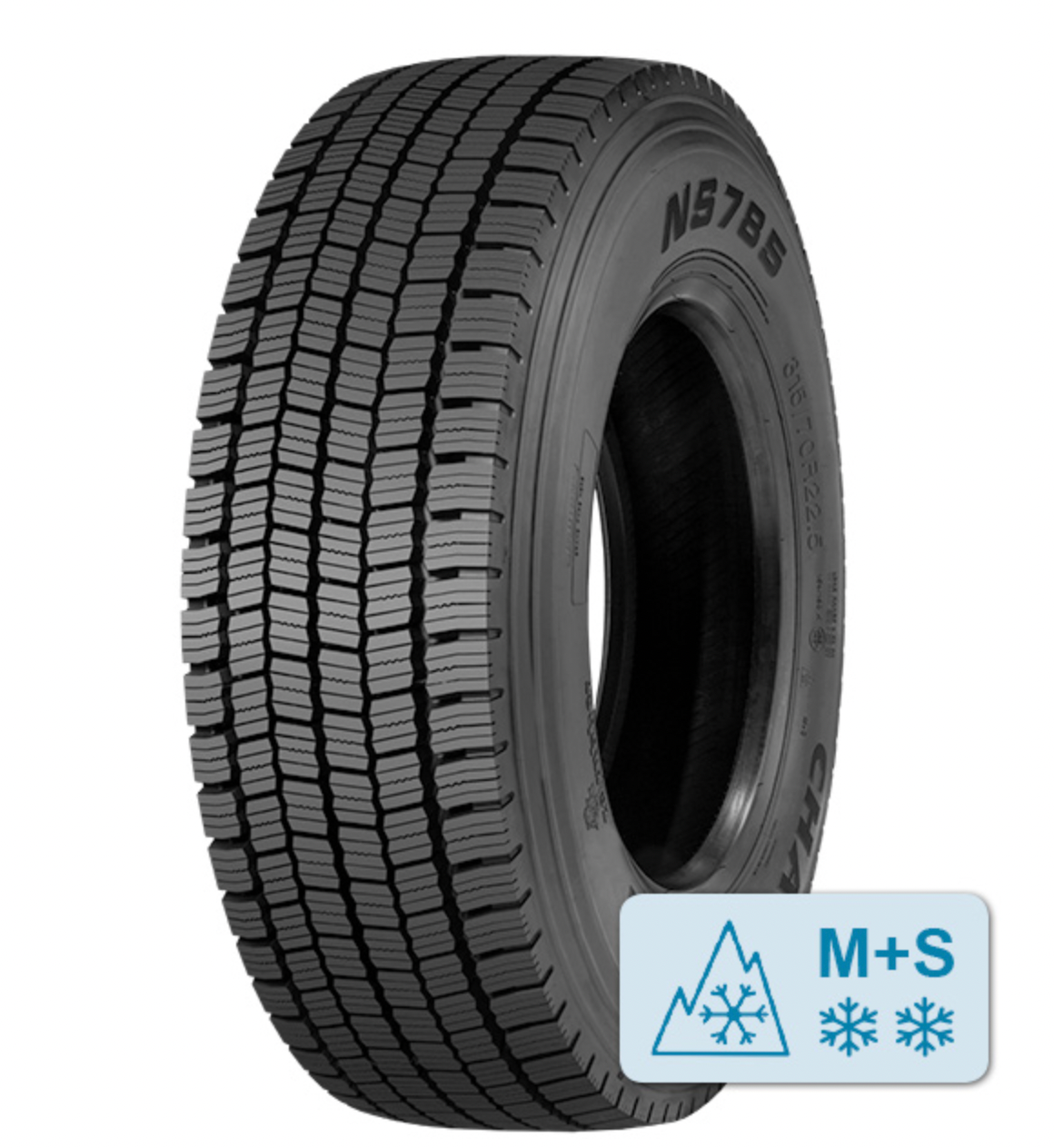 Goodride ICEGUARD N1 385/55R22